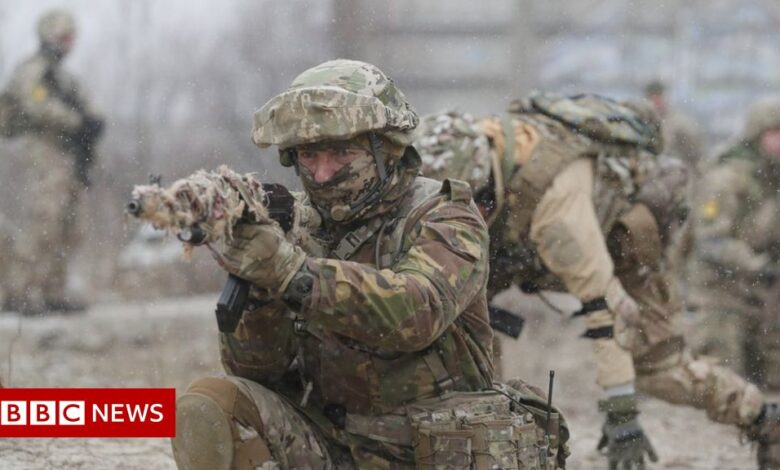Russia-Ukraine crisis: UK sends weapons to defend Ukraine, says defense minister