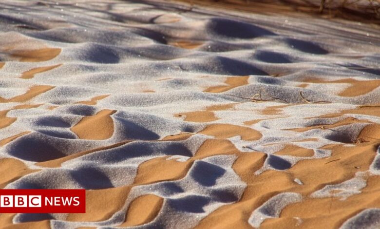 In the photo: Snow falls in the Sahara desert of Algeria