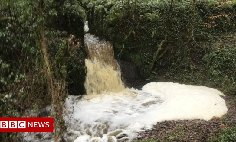 River pollution: The call for a shaken investigation in Wales