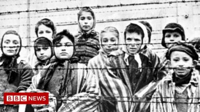 UN defines Holocaust denial in new resolution