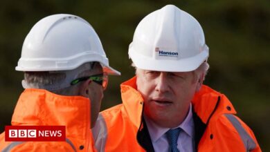 Boris Johnson says: Sue Gray partisan No 10 report to be published in full