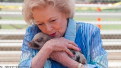 Betty White fans plan to celebrate her 100th birthday by giving back animals