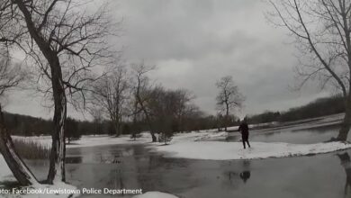 Months after saving elderly woman from fire, heroic police officer saves dog from frozen lake