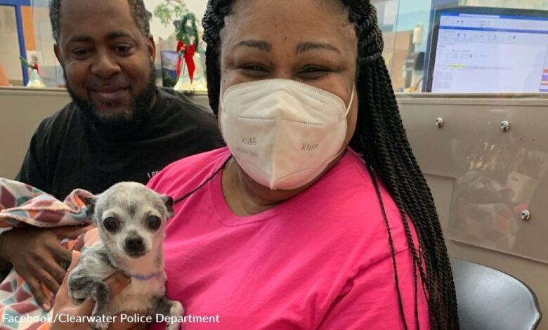 Missing, tiny dog ​​reunites with family after journeying to another town on his own