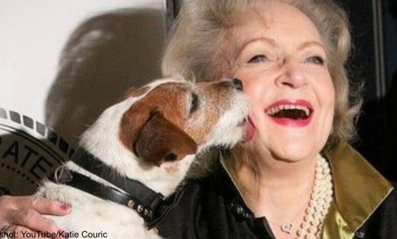 Betty's 10 White Animal Quotes for Her 100th Birthday Celebration