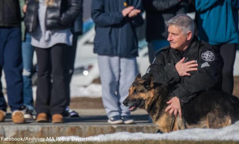 Veteran police dog is said goodbye by heroes before crossing Rainbow Bridge