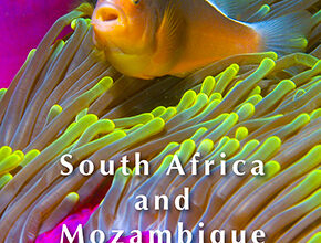 Guide to Diving & Snorkeling to South Africa and Mozambique