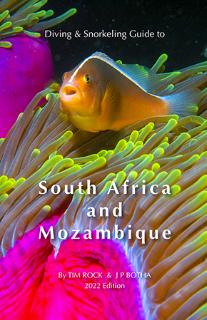 Guide to Diving & Snorkeling to South Africa and Mozambique