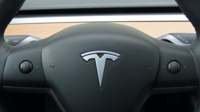 Musk says Tesla isn't working on $25,000 EVs, hints that robots make it less important