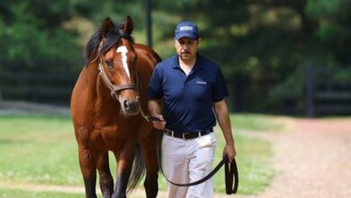Wests Breed Maximum Security's First Foal
