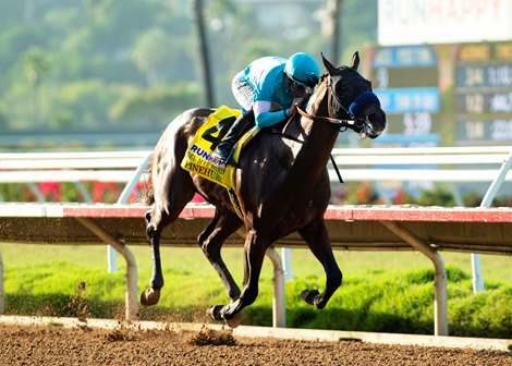 Baffert trio out of five in San Vicente