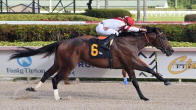 Mr. Ollie, Cajun Brother Looking for Opportunity in Gulfstream