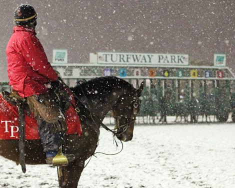 BloodHorse . Cross Country Cancellation Weather Force