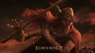 Director Elden Ring discussed it and the difficulty of the software game