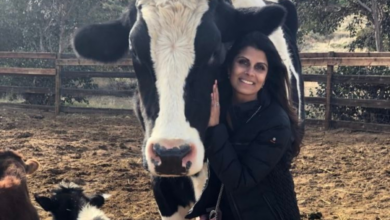 Farm Sanctuary steps up with The Game Changers Executive Producer Nirva Kapasi Patel as New Board Chairman
