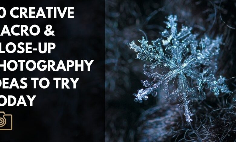 30 Creative Ideas for Macro and Close-up Photography