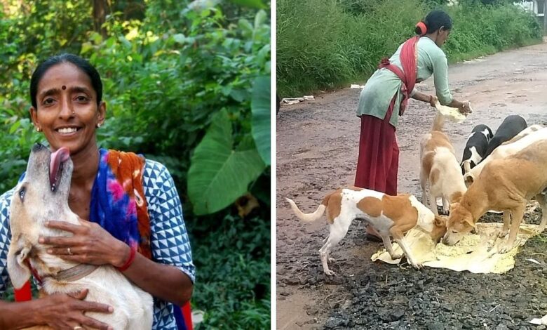 Rajani Shetty from Mangaluru feeds 800 stray animals on a daily basis.