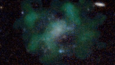 Astronomers discover a strange galaxy with no dark matter