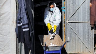 Bird flu has returned to the United States.  No one knows what will happen next
