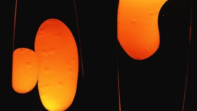 At the dawn of life, heat may have accelerated cell division