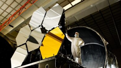 Physics of the James Webb . Space Telescope