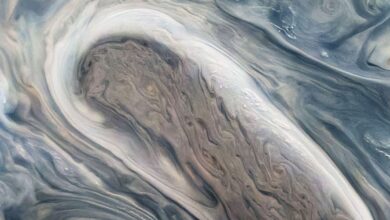 Earth's oceanography helps shed light on Jupiter's flowing cyclones