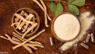 9 reasons to include Ashwagandha in your wellness regimen