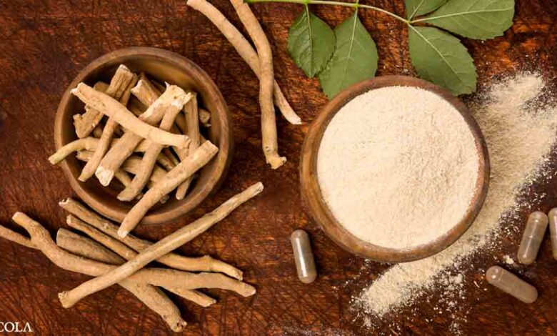 9 reasons to include Ashwagandha in your wellness regimen