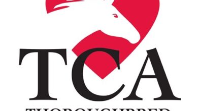 TCA's Stallion Season Auction is underway