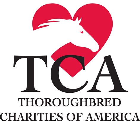 TCA's Stallion Season Auction is underway