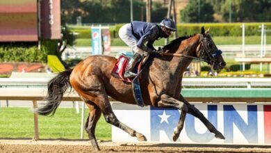 Cezanne Duels Barnmate Essential Wager in Palos Verdes
