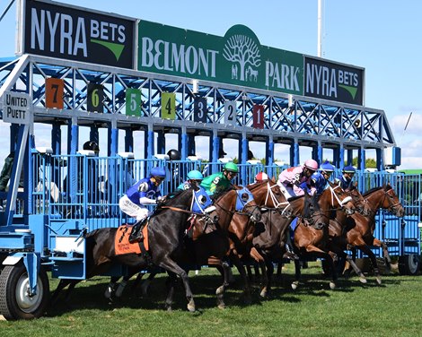 NYRA Approved for Tunnel at Belmont, Mile Chute at Spa