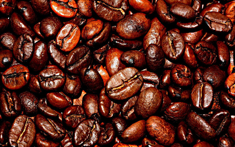 Climate Change to Kill Coffee and Avocados (Again) - Are you up for it?