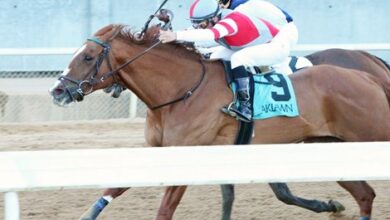 Miss Kham Bows With Victory Notes in American Beauty