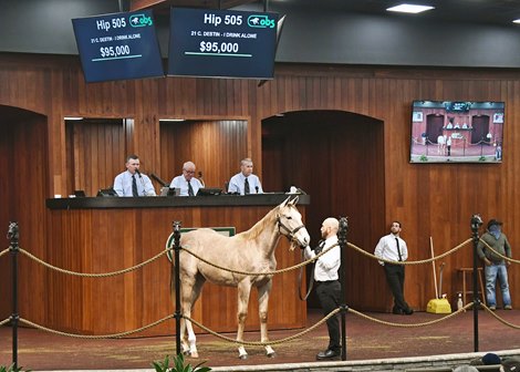 Strong trade, steady increase as OBS winter sale closes