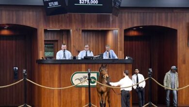 Day 1 total sales soar at OBS Winter Mixed Sale