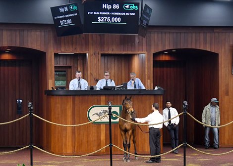 Day 1 total sales soar at OBS Winter Mixed Sale