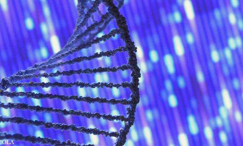 Ryan Smith - What a DNA methylation test can tell you about your health