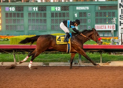 Go straight to G Follow Chrome's path into the Cal . Cup Derby