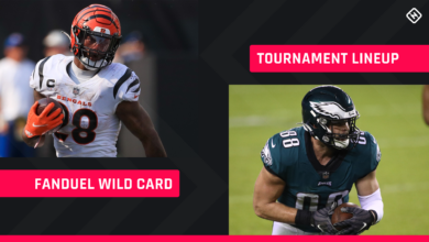 Wild Card Full-Slate fan's pick: NFL DFS lineup tips for GPP knockouts