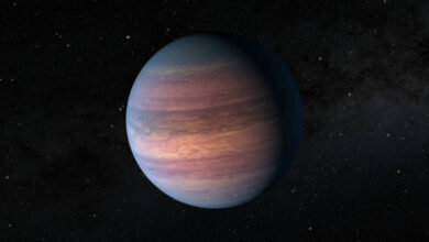 Scientists Discover Jupiter-Like Planet in NASA TESS Data - Spot it?