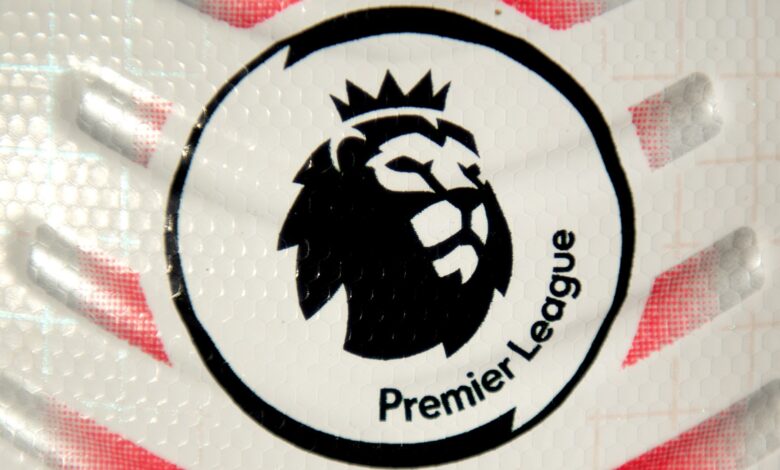 Are there any Premier League matches this weekend?  When will the next EPL matches take place?