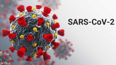 Yes, SARS-CoV-2 Is a Real Virus