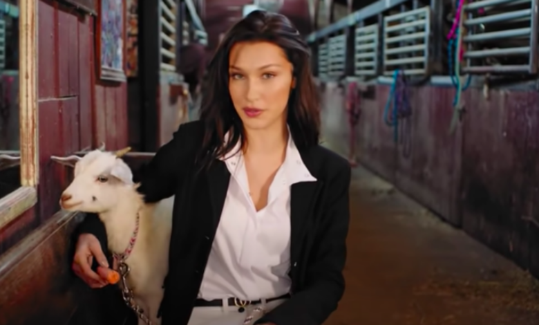 Model Bella Hadid quit drinking: I won't be able to control myself