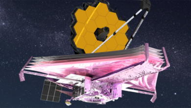 NASA's Webb Telescope Hits Milestone As The Mirror Unfolds - Did You Float For It?
