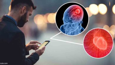 Study Links Cellphone Radiation to Heart and Brain Tumors