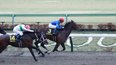 Burn with Hyacinth on the way from Japan to KY Derby