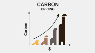UK carbon pricing is now forcing higher electricity prices - Going up with that?
