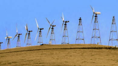 National Audubon Society Sues Bay Area Wind Turbines (Altamont Pass – a 40-year affair) - Frustrated with that?