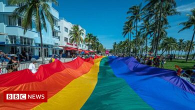 'Don't say gay': White House rejects new Florida bill